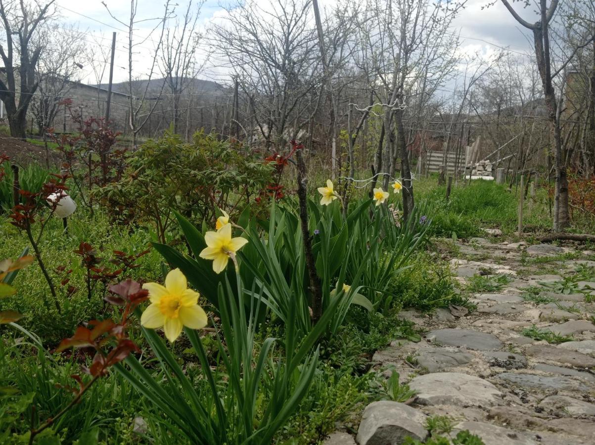 Dusheti Rose Appartement Dushet'i Buitenkant foto